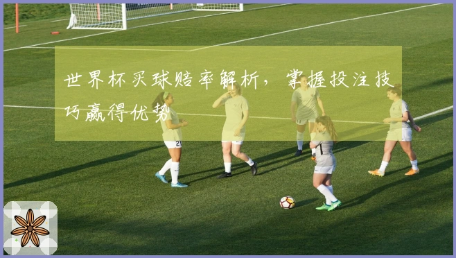 世界杯买球赔率解析，掌握投注技巧赢得优势