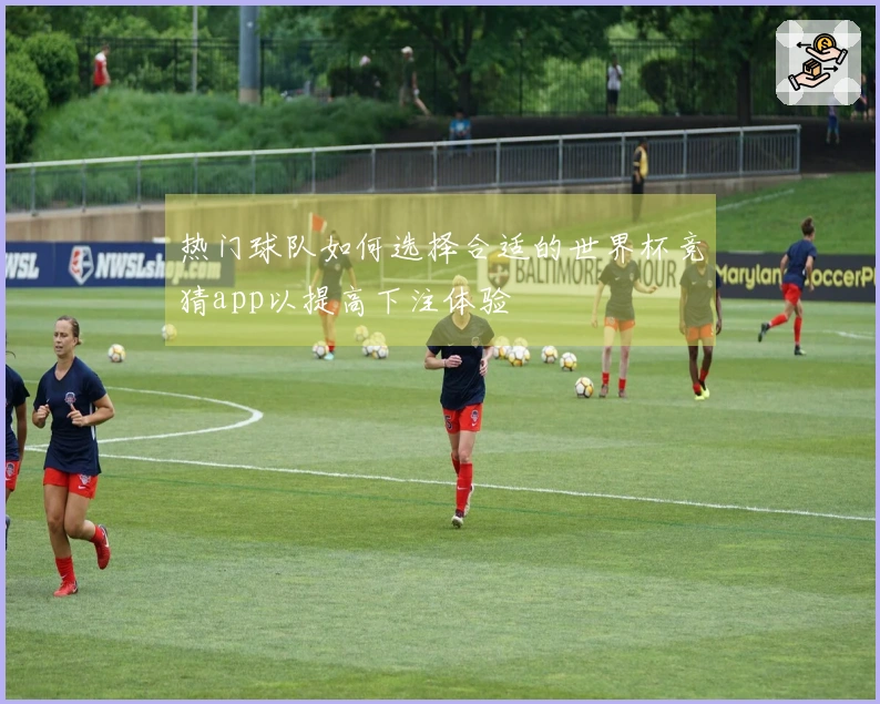 热门球队如何选择合适的世界杯竞猜app以提高下注体验