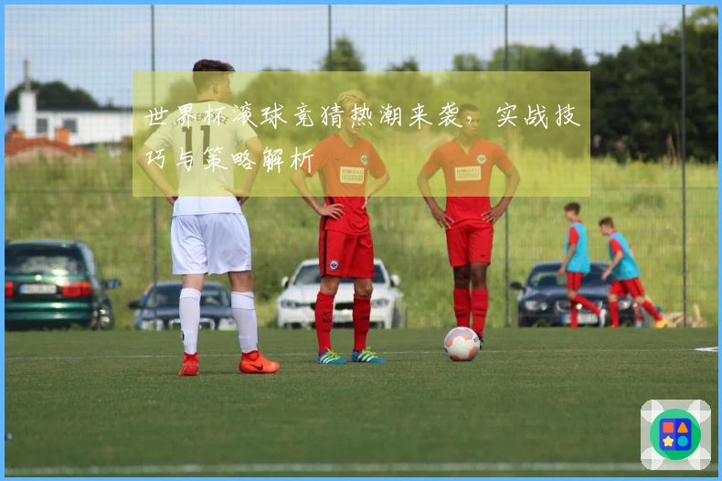世界杯滚球竞猜热潮来袭，实战技巧与策略解析