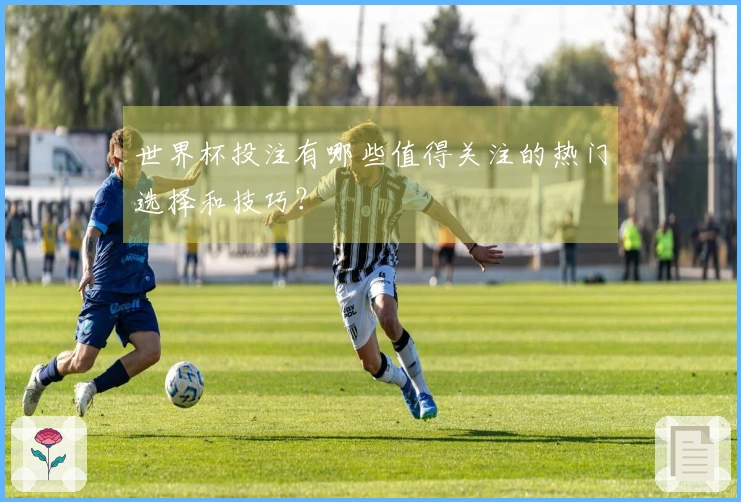 世界杯投注有哪些值得关注的热门选择和技巧？