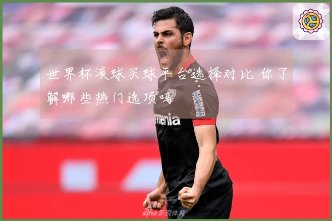 世界杯滚球买球平台选择对比 你了解哪些热门选项吗