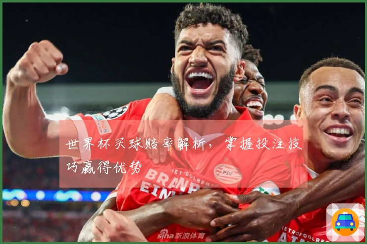 世界杯买球赔率解析，掌握投注技巧赢得优势