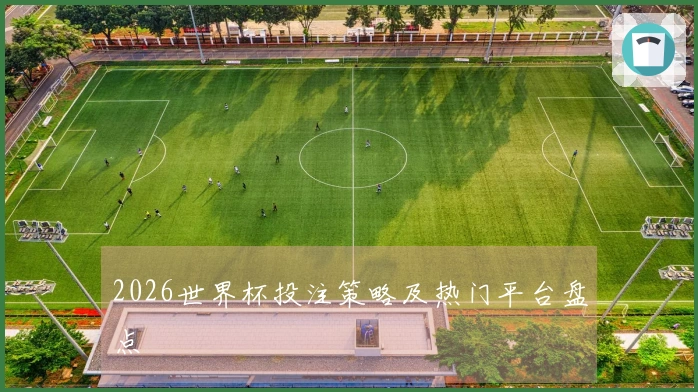2026世界杯投注策略及热门平台盘点