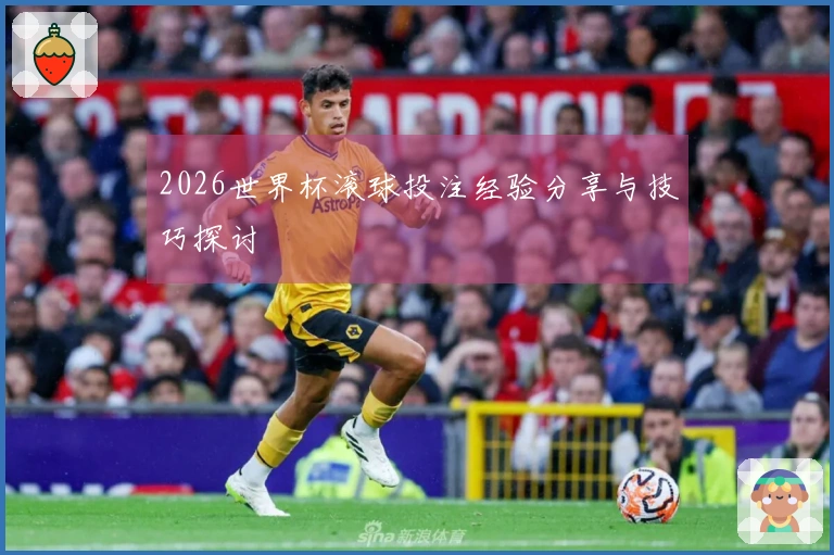 2026世界杯滚球投注经验分享与技巧探讨