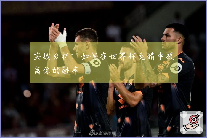 实战分析：如何在世界杯竞猜中提高你的胜率