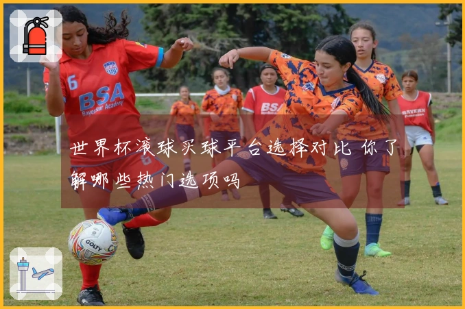 世界杯滚球买球平台选择对比 你了解哪些热门选项吗