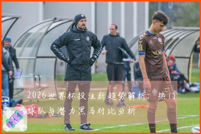 2026世界杯投注新趋势解析：热门球队与潜力黑马对比分析